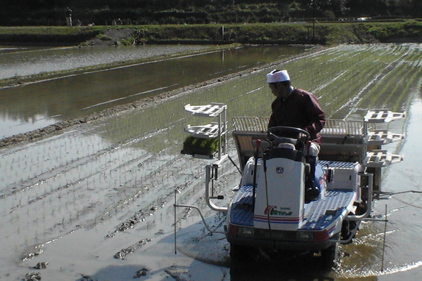2007/02/11~03/18 こしき島耕作放棄地再生③