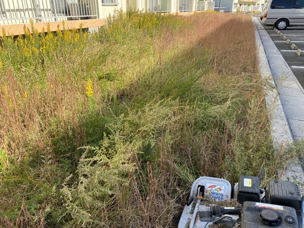 2020.11/01 明星寺団地草刈り奉仕作業のサムネイル