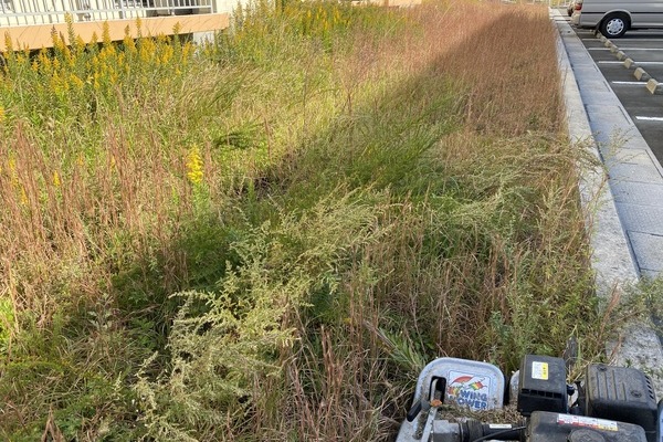 2020.11/01 明星寺団地草刈り奉仕作業