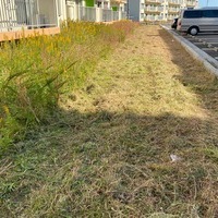 2020.11/01 明星寺団地草刈り奉仕作業のサムネイル