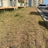 2020.11/01 明星寺団地草刈り奉仕作業のサムネイル