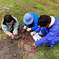 2020/11/07 東京から収穫体験のサムネイル