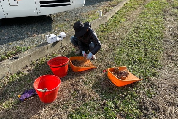 2019/12/01 楽農人宇美圃場にカノコユリ植付