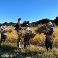 2020/11/09 大楠農産へ東京から農業体験のサムネイル