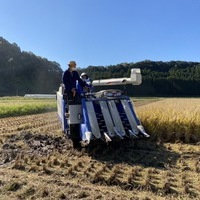 2020/11/09 大楠農産へ東京から農業体験のサムネイル