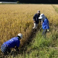 2020/11/09 大楠農産へ東京から農業体験のサムネイル