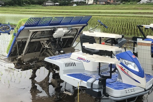 2018/06/30 大楠農産田植え