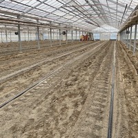 2020/09/12 深谷市O農場トマト定植のサムネイル