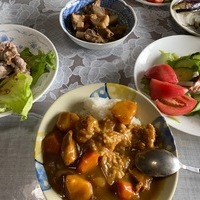 2020/09/12 深谷市O農場トマト定植のサムネイル