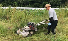 2020/09/04 刈り払い機実践講