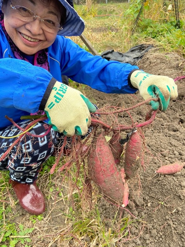 2020/11/07 東京から収穫体験のサムネイル