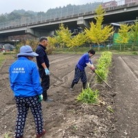 2020/11/07 東京から収穫体験のサムネイル