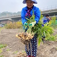 2020/11/07 東京から収穫体験のサムネイル