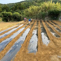 耕作放棄地再生　SEASON-１のサムネイル