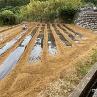 耕作放棄地再生　SEASON-１のサムネイル