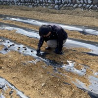 耕作放棄地再生　SEASON-１のサムネイル