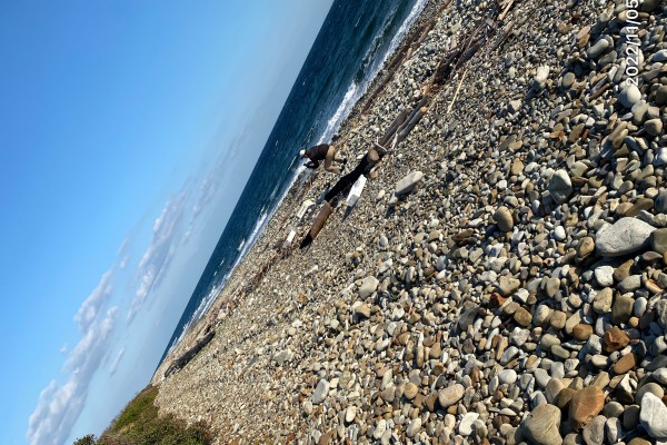 耕作放棄地再生　SEASON-２