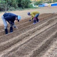 耕作放棄地再生　SEASON-１のサムネイル