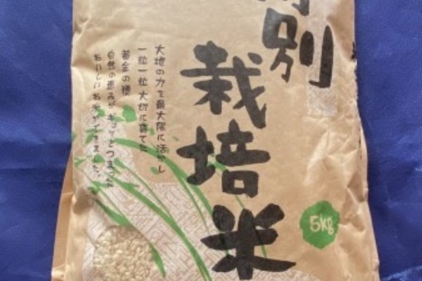 大楠あきほなみ　特別栽培米　玄米　5㎏
